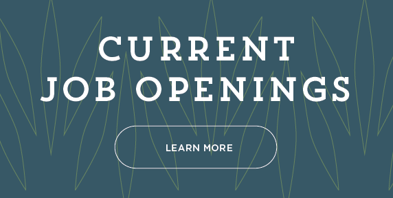 Current Job Openings